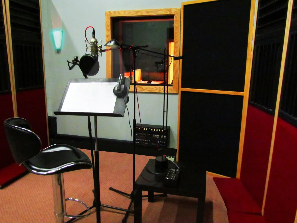 voice over artist in delhi